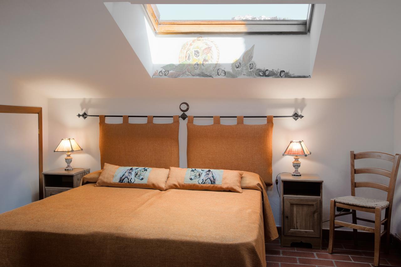 Agriturismo San Marco Rosignano Marittimo Ngoại thất bức ảnh