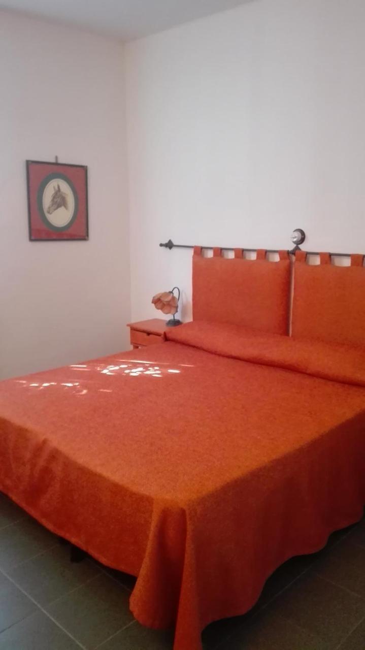 Agriturismo San Marco Rosignano Marittimo Ngoại thất bức ảnh